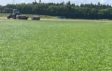 🍀Kunne du tænke dig hybridgræs til dit idrætsanlæg, fodboldbane, legeplads eller minigolfbane?